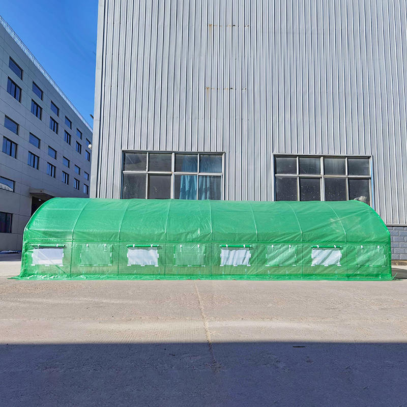 estufa alta do túnel de Roundtop dos túneis da folha de 4x8x2m