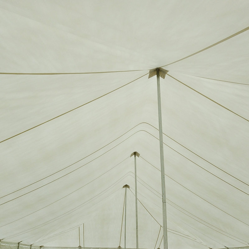 Tenda tradicional de pólo para eventos em PVC 7X12m com janelas