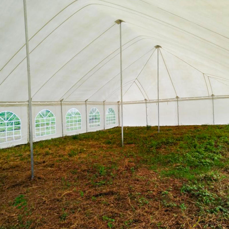 Tenda tradicional de pólo para eventos em PVC 7X12m com janelas
